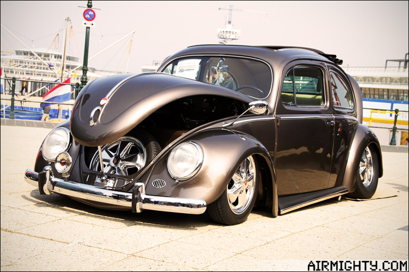 IMG_5513.jpg, 143.85 kb, 800 x 533 IMG_5513.jpg, 143.85 kb, 800 x 533