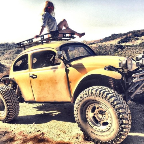 409.jpg, 101.43 kb, 500 x 498 409.jpg, 101.43 kb, 500 x 498