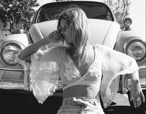 446.jpg, 60 kb, 500 x 391 446.jpg, 60 kb, 500 x 391